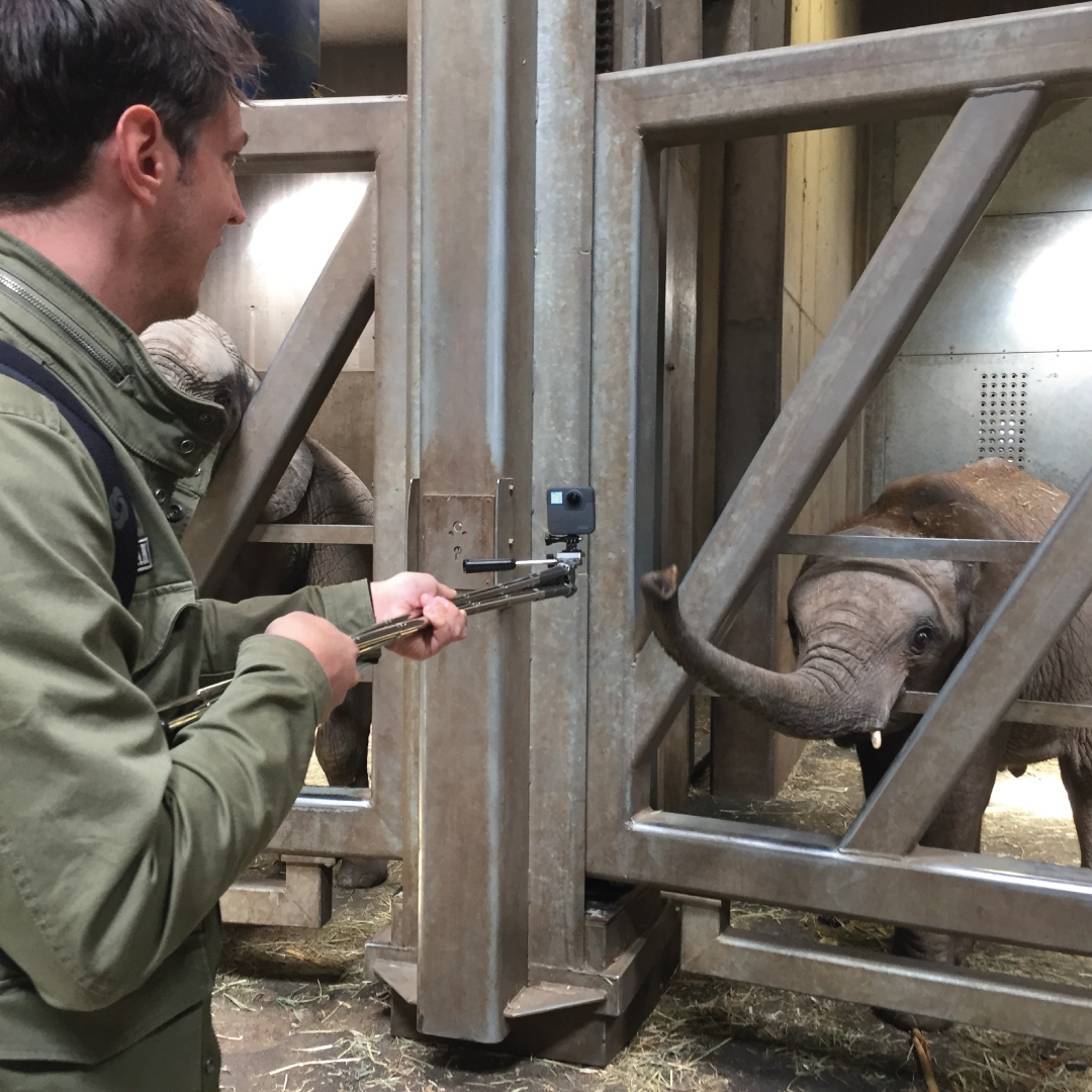 Drehtag im Bergzoo Halle für RemmyVR (VR Brille für Senioren)