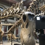 Museum für Naturkunde Berlin ist Unterstützer von RemmyVR (VR Brille für Senioren)